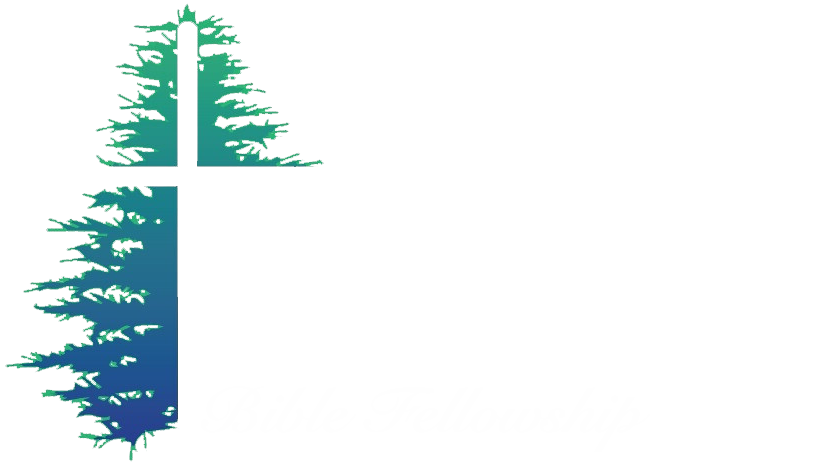 Mountain View Bible Fellowship - Estes Park Church